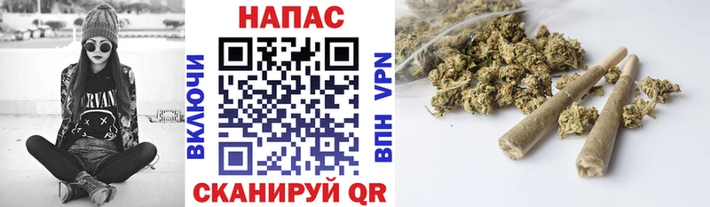 Где можно купить наркотики Светогорск Кокаин Меф Alpha-PVP ОМГ ОМГ ссылки Конопля