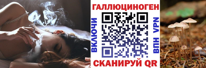 где можно купить наркотик  Светогорск  Галлюциногенные грибы Cubensis 